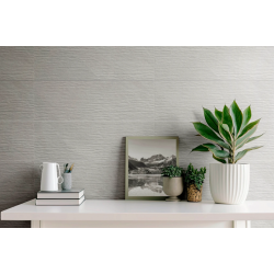 Πλακάκι Alaska Struttura Grey 25x75